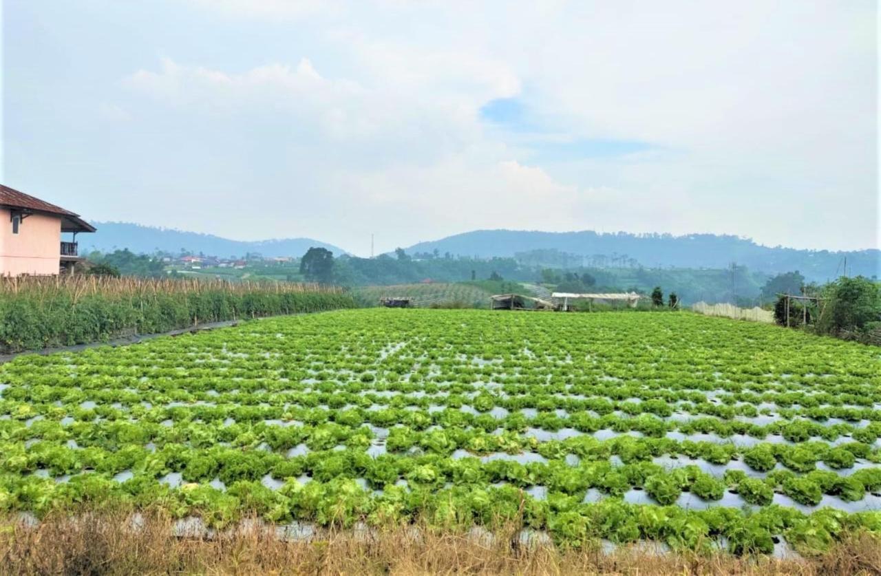 Villa Lembang Bunda Cikareumbi Dış mekan fotoğraf